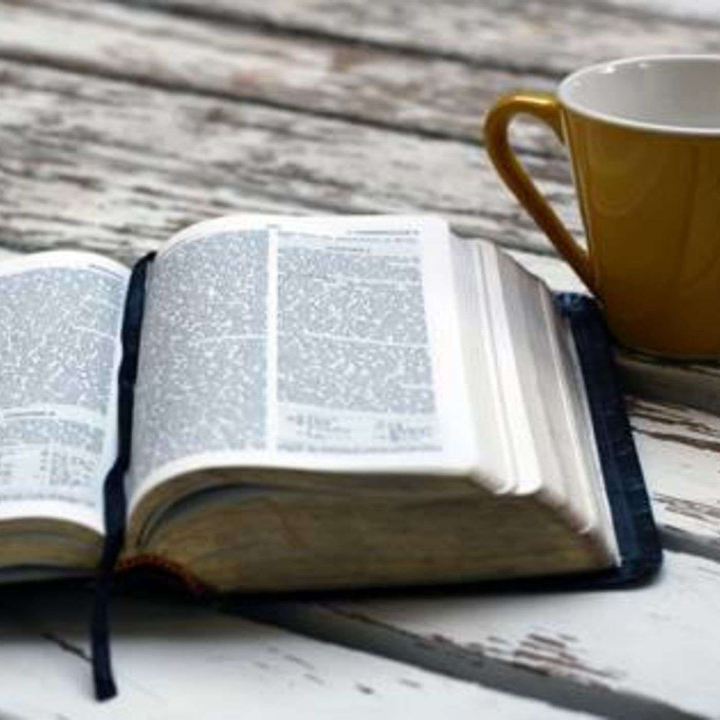 Do We Have To Obey Matthew 7:1?
