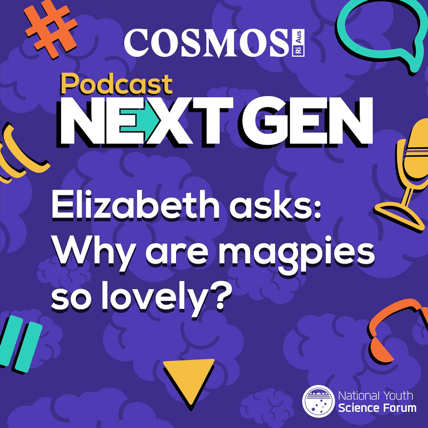 Podcast Next Gen: Why are magpies so lovely?
