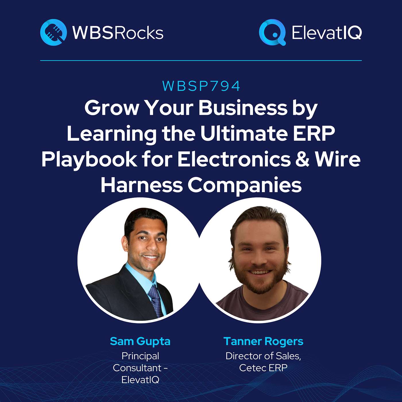 WBSP794: Grow Your Business by Learning the Ultimate ERP Playbook for Electronics & Wire Harness Companies w/ Tanner Rogers WBSP794: Grow Your Business by Learning the Ultimate ERP Playbook for Electronics & Wire Harness Companies w/ Tanner Rogers