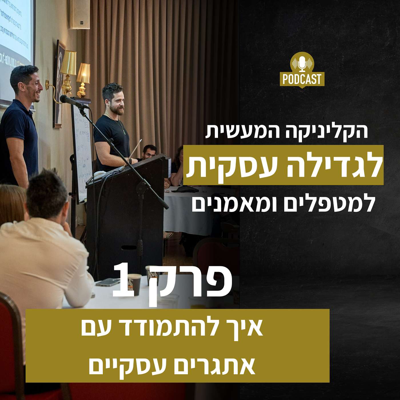 איך להתמודד עם אתגרים עסקיים episode artwork