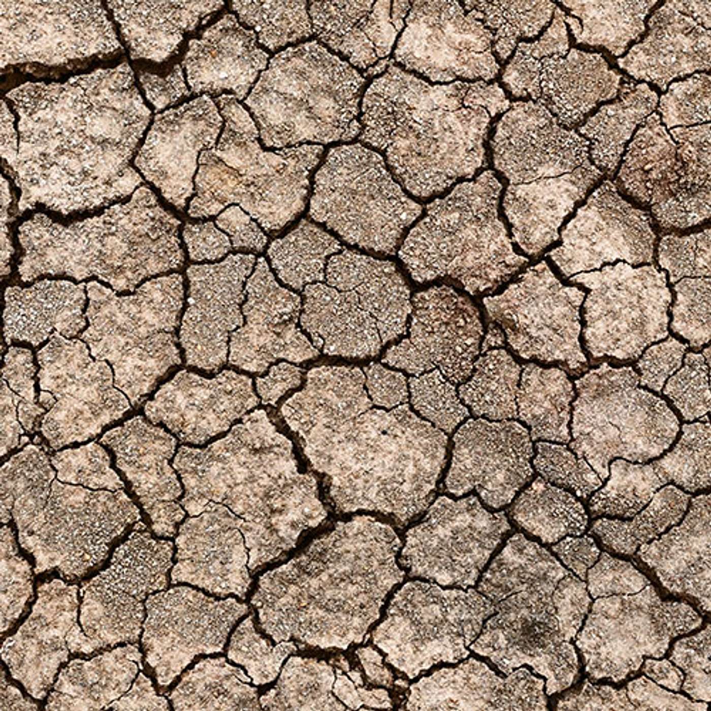 Climate Risks Episode 05: Rising Temperatures – David Hounsell episode artwork