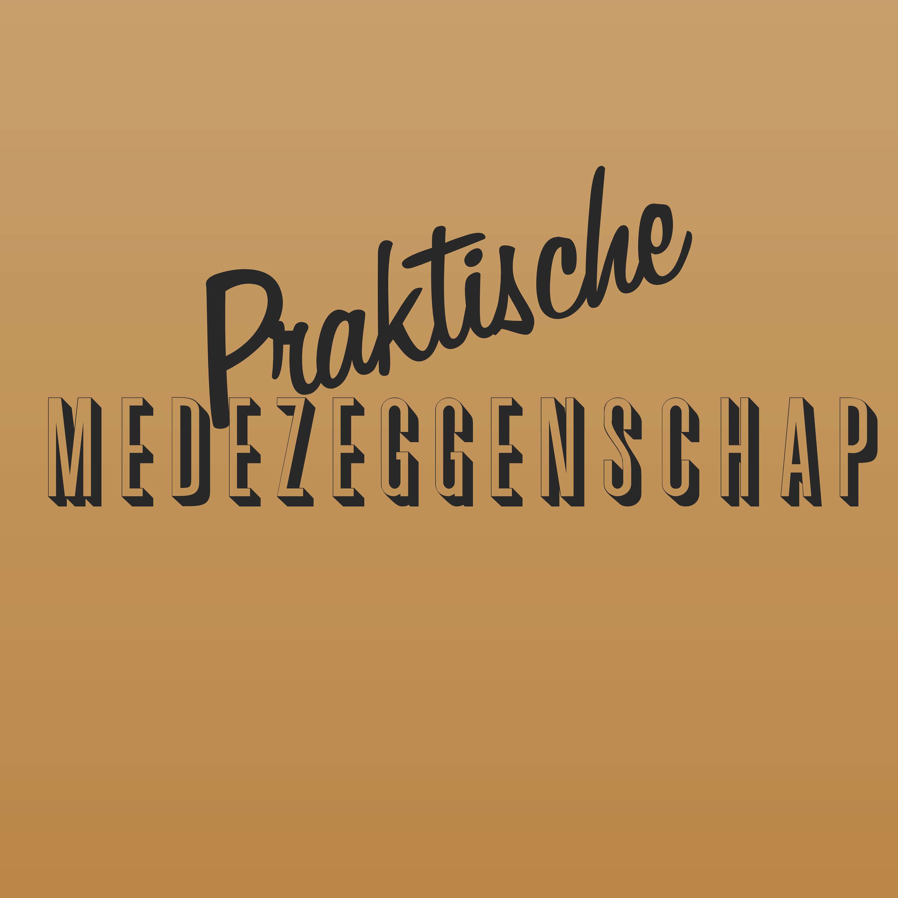 Praktische Medezeggenschap