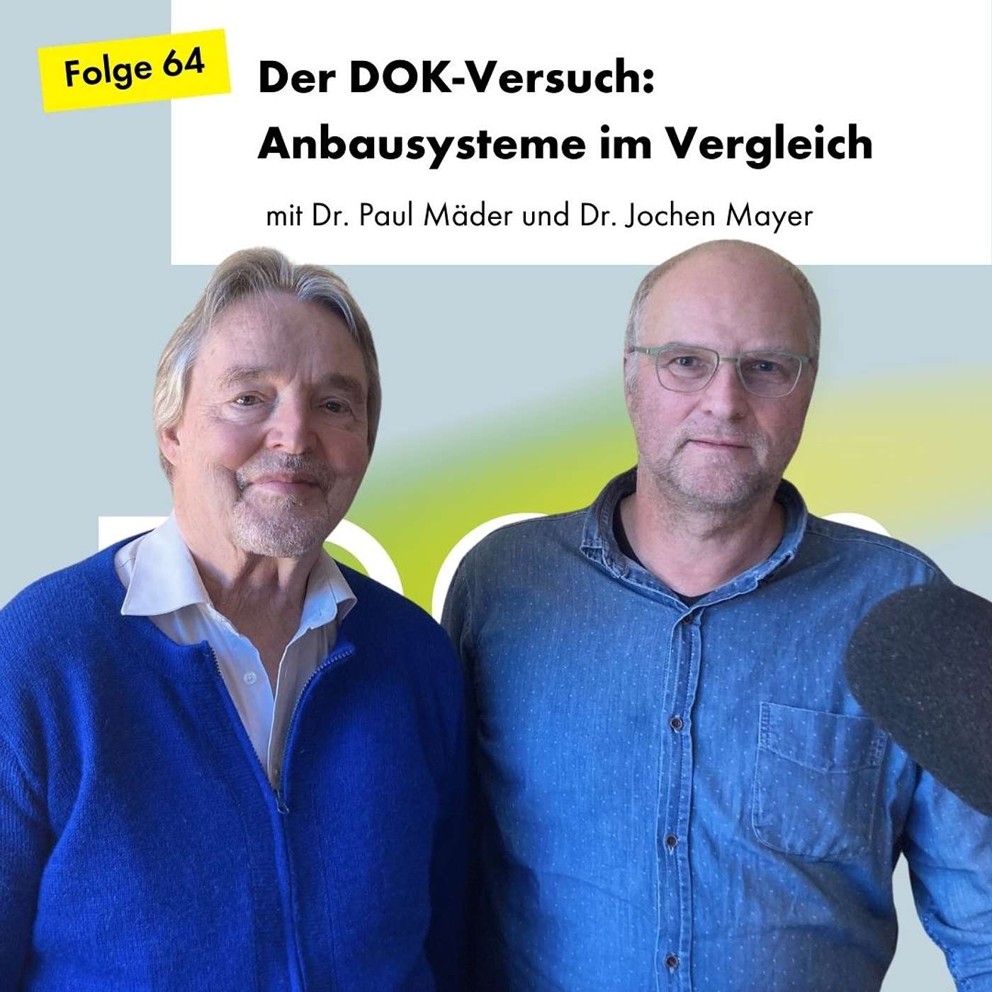 Der DOK-Versuch