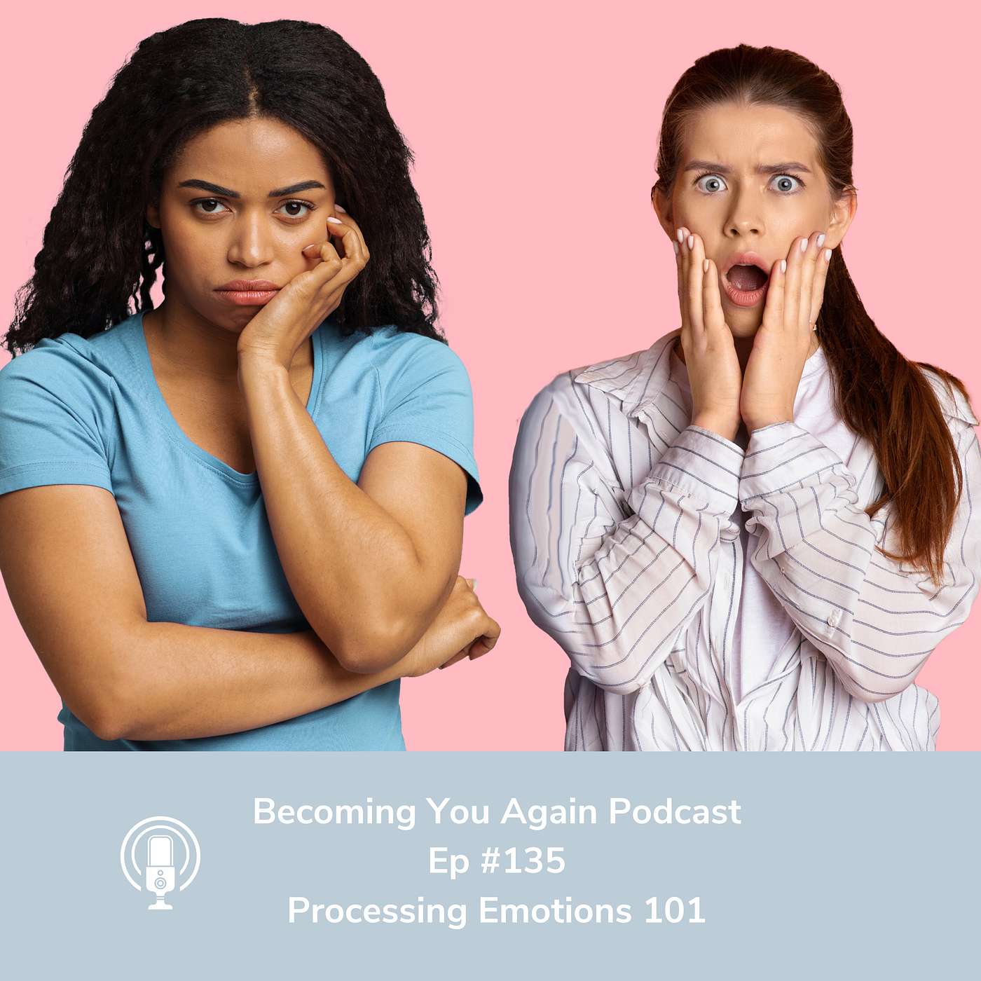 Processing Emotions 101