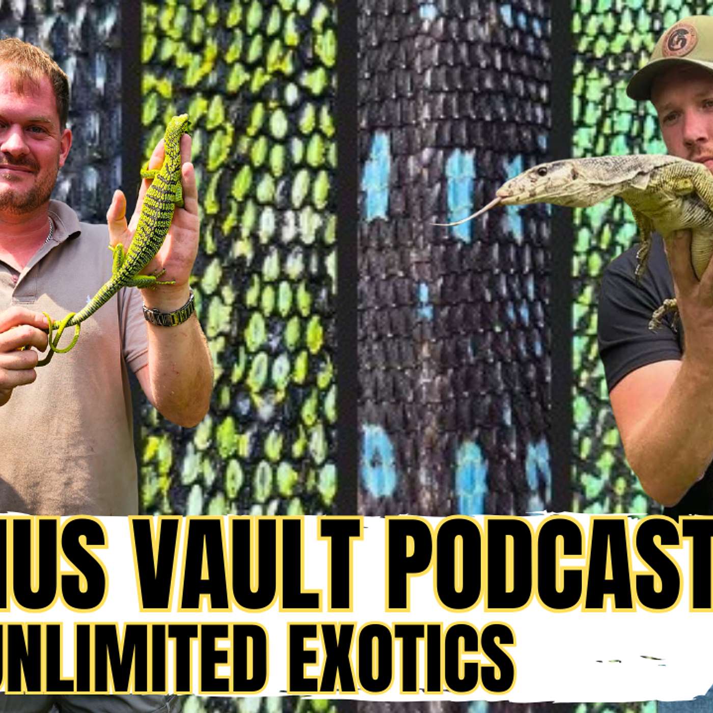 First To Hatch Out USCBB Peach Throat Monitors In Over 20 Years | Varanus Vault Live