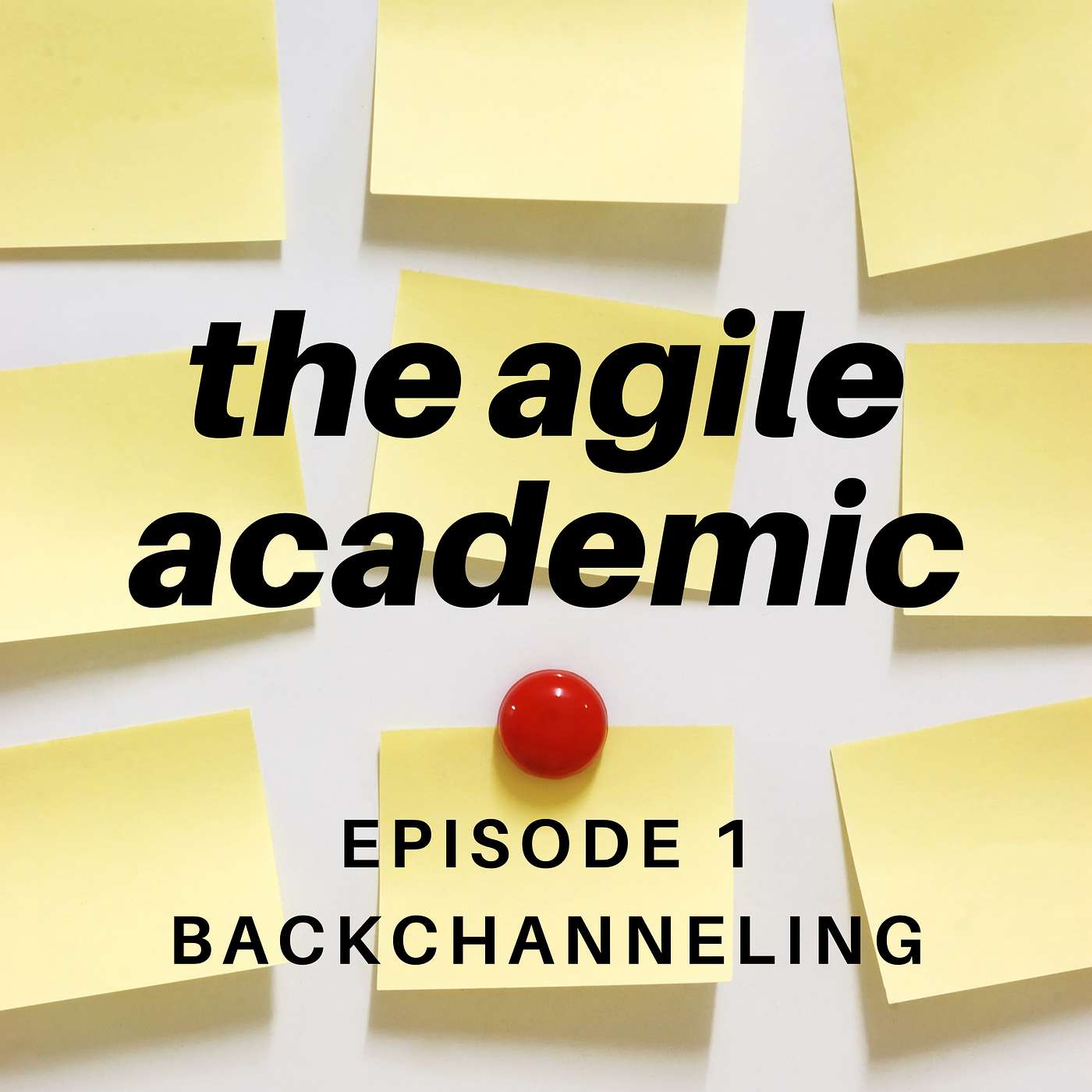 the agile academic