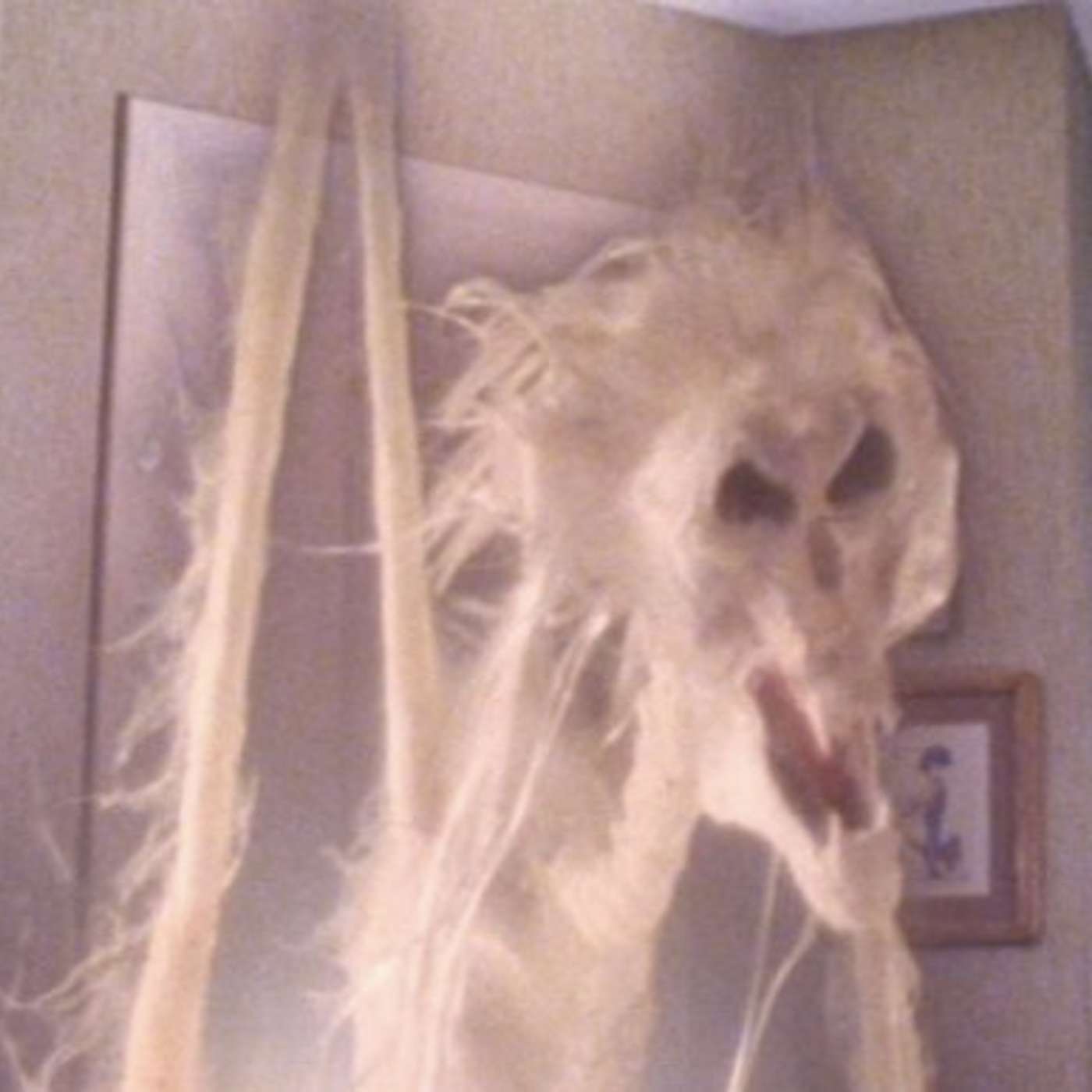 Spoils Of Horror