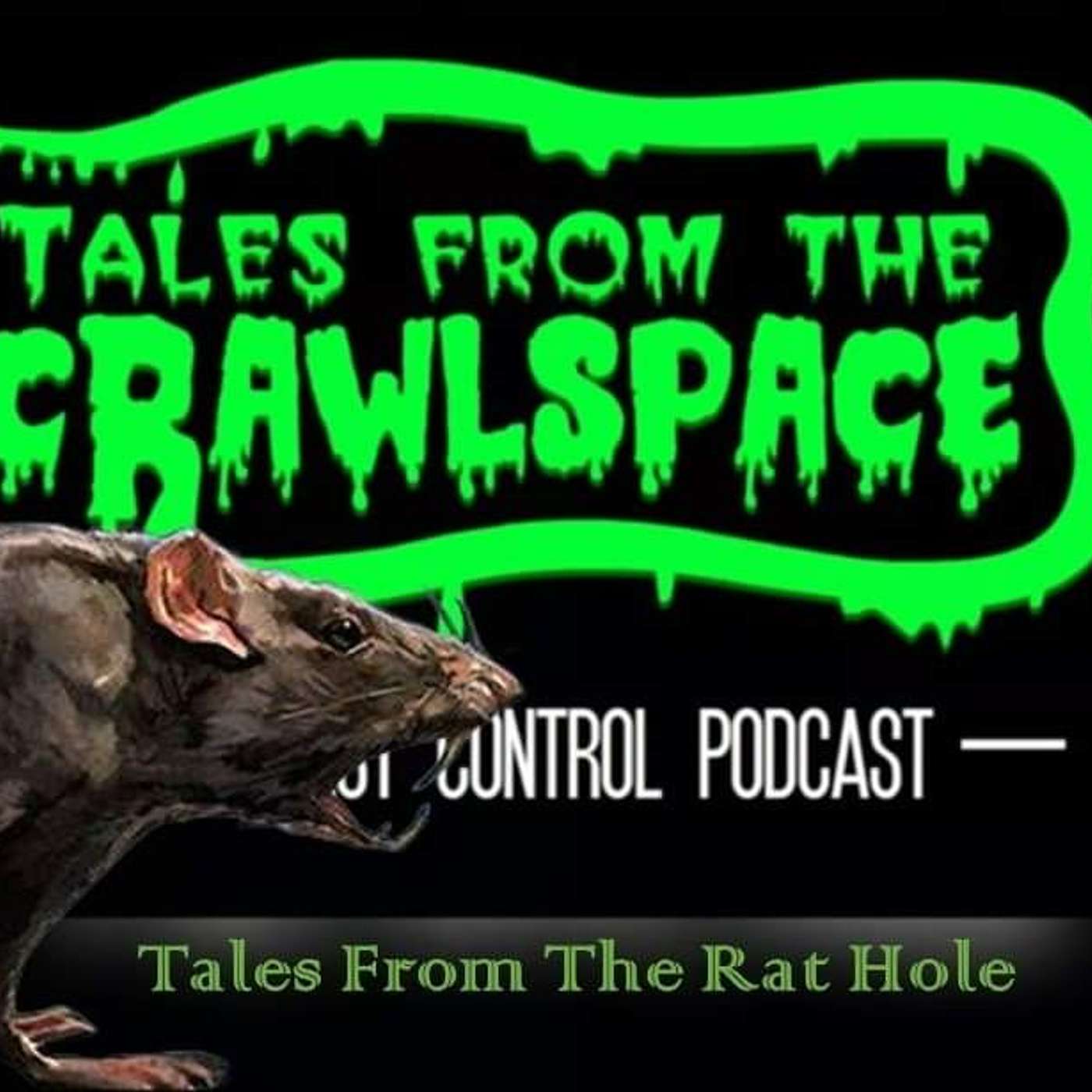 Tales from the Rat Hole