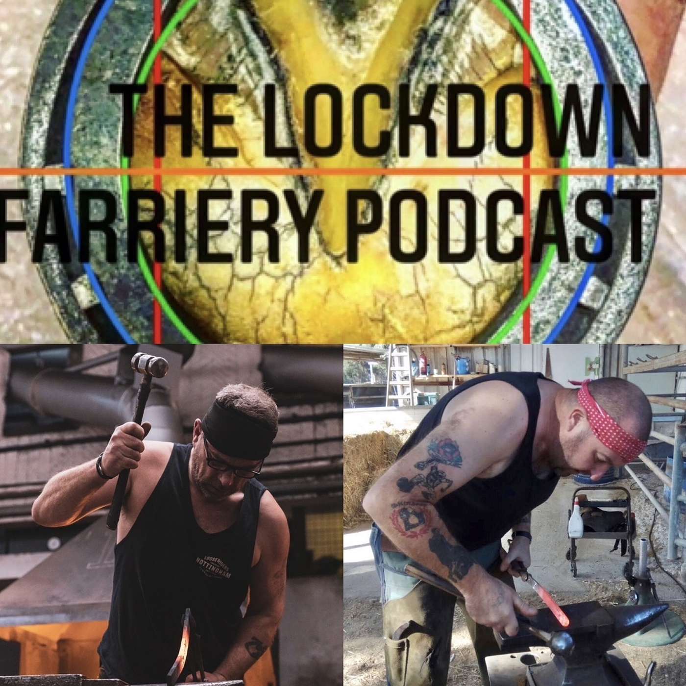 LFP 57 Wayne Preece FWCF and Danny Bennett AWCF Health, Legislation, Veterinary Reforms and of course MONEY!