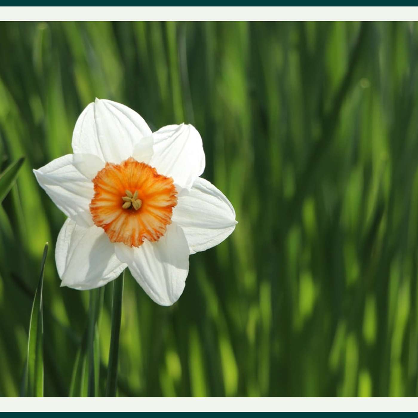 Sunday Service Podcast March 14th – Glimmer of Hope