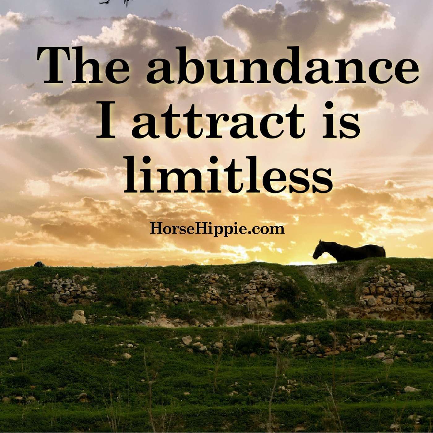 Abundance episode artwork