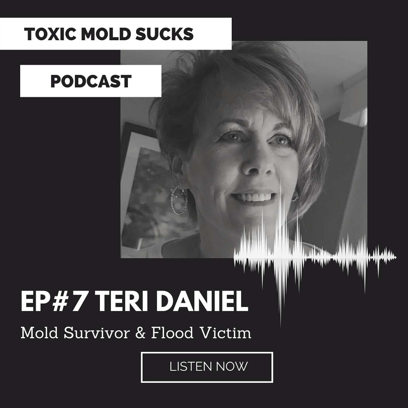 Episode # 7 Teri Daniel - Shares her Flood story