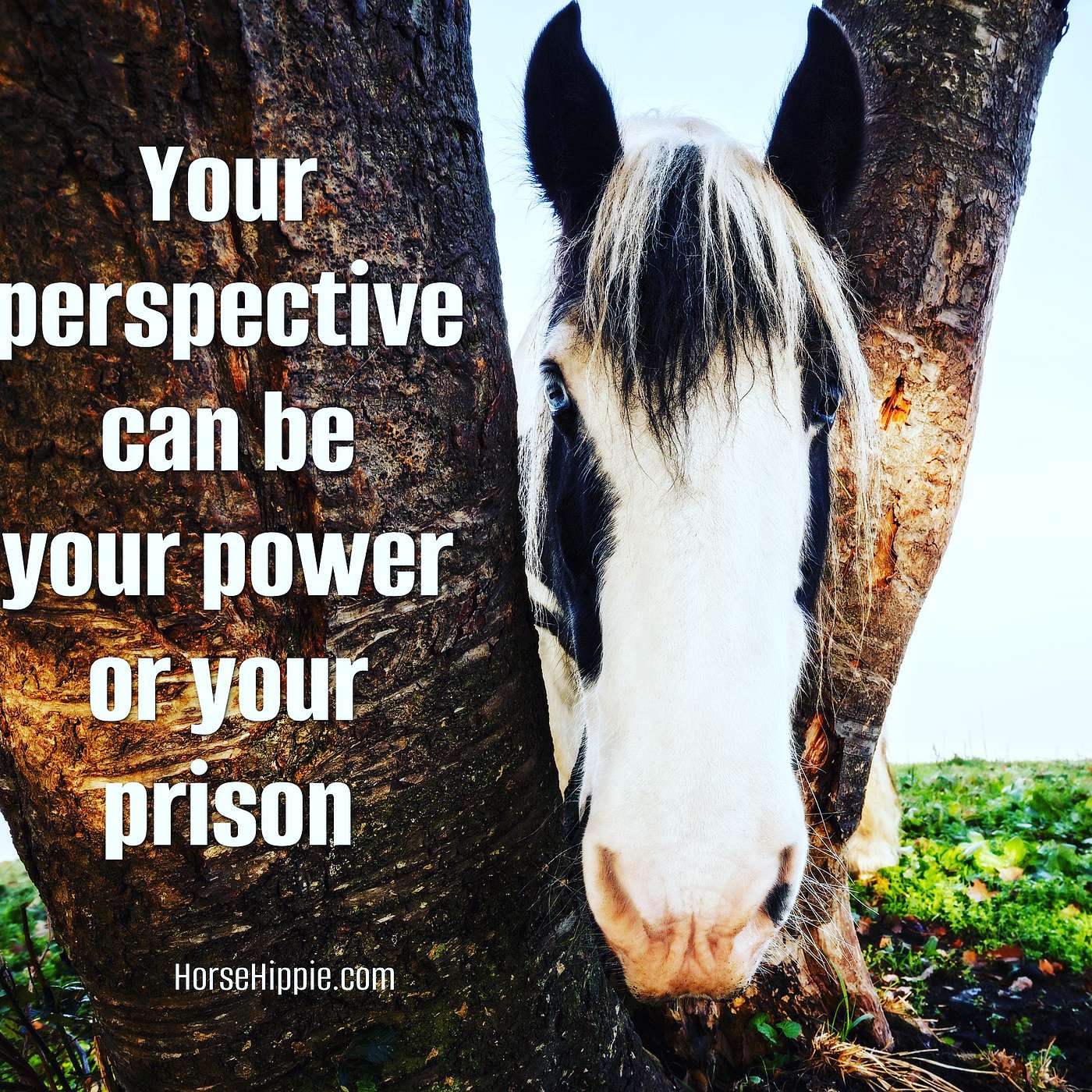 A Change of Perspective