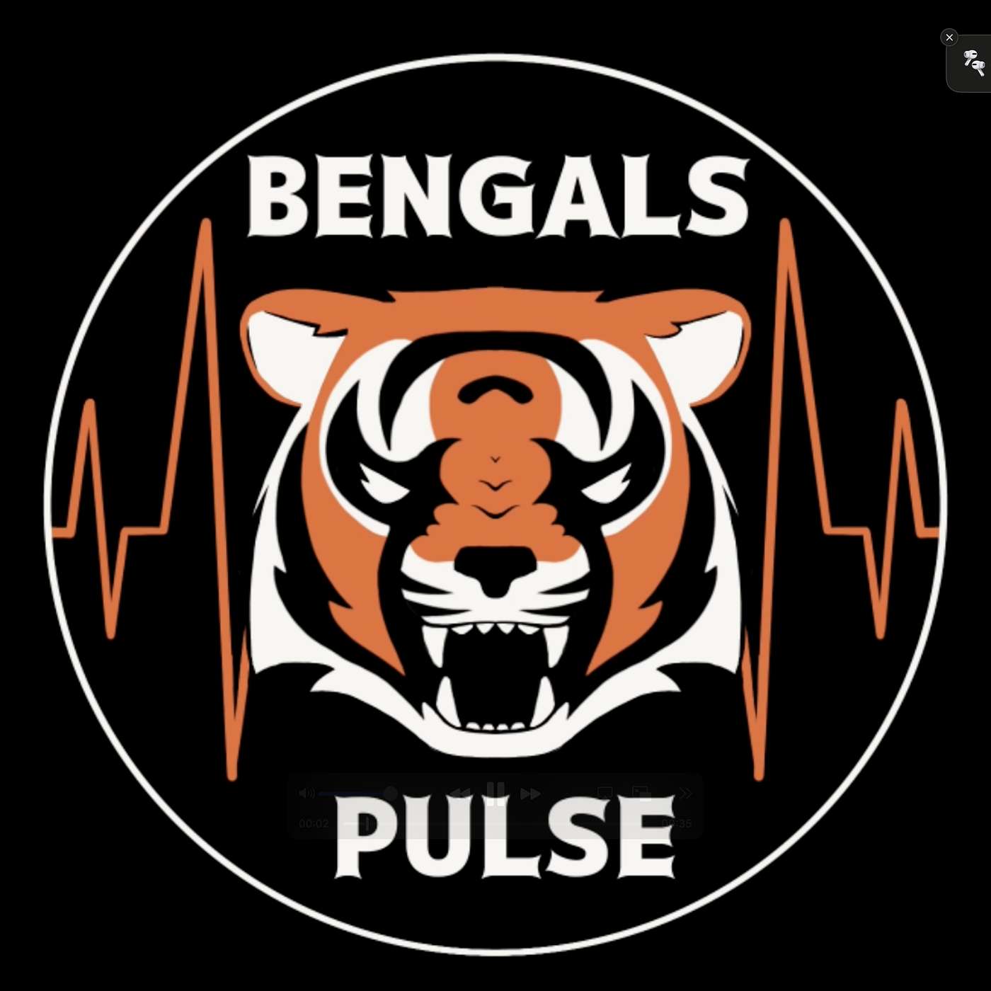 Bengals Pulse Sits down with Dan Hoard. episode artwork