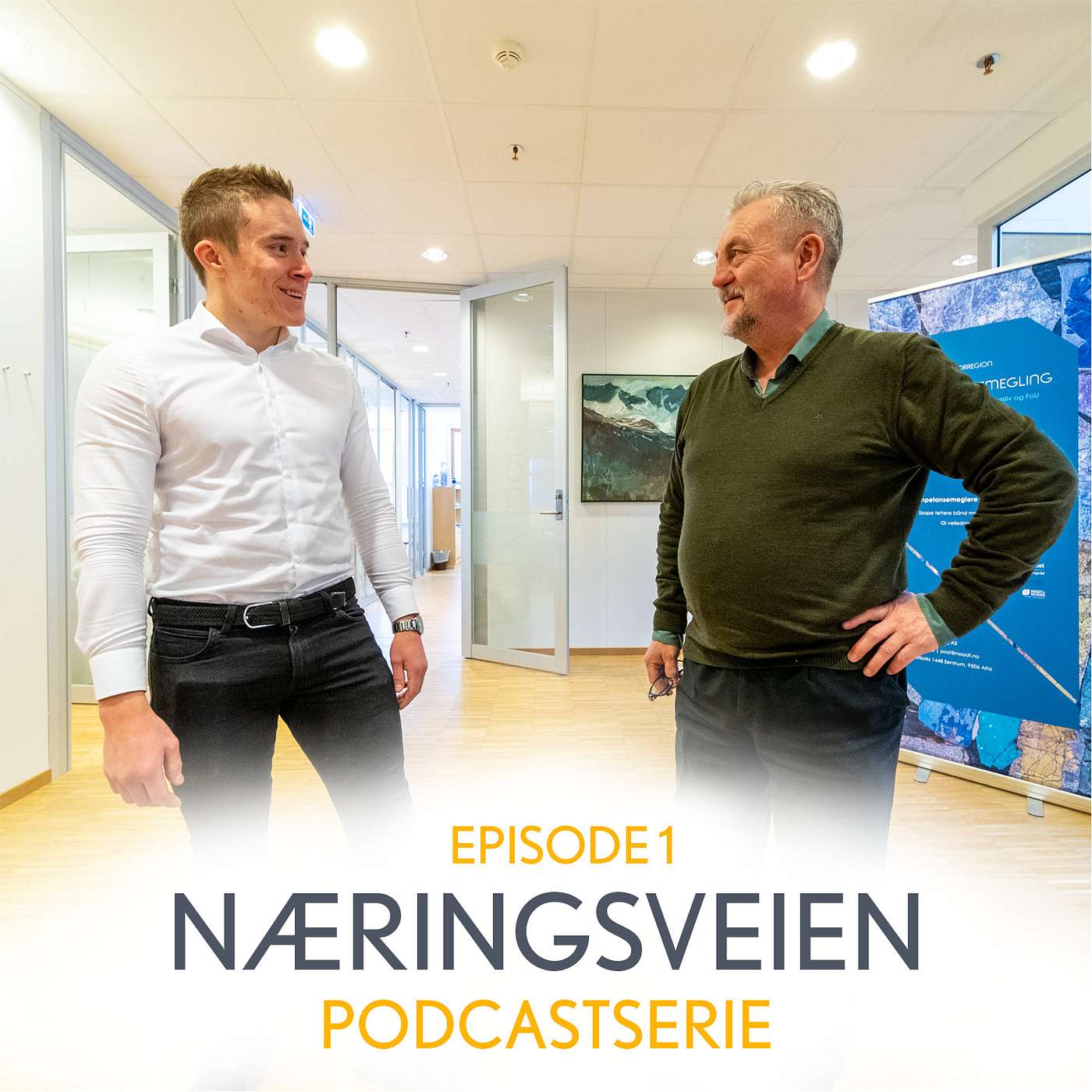 Næringsveien