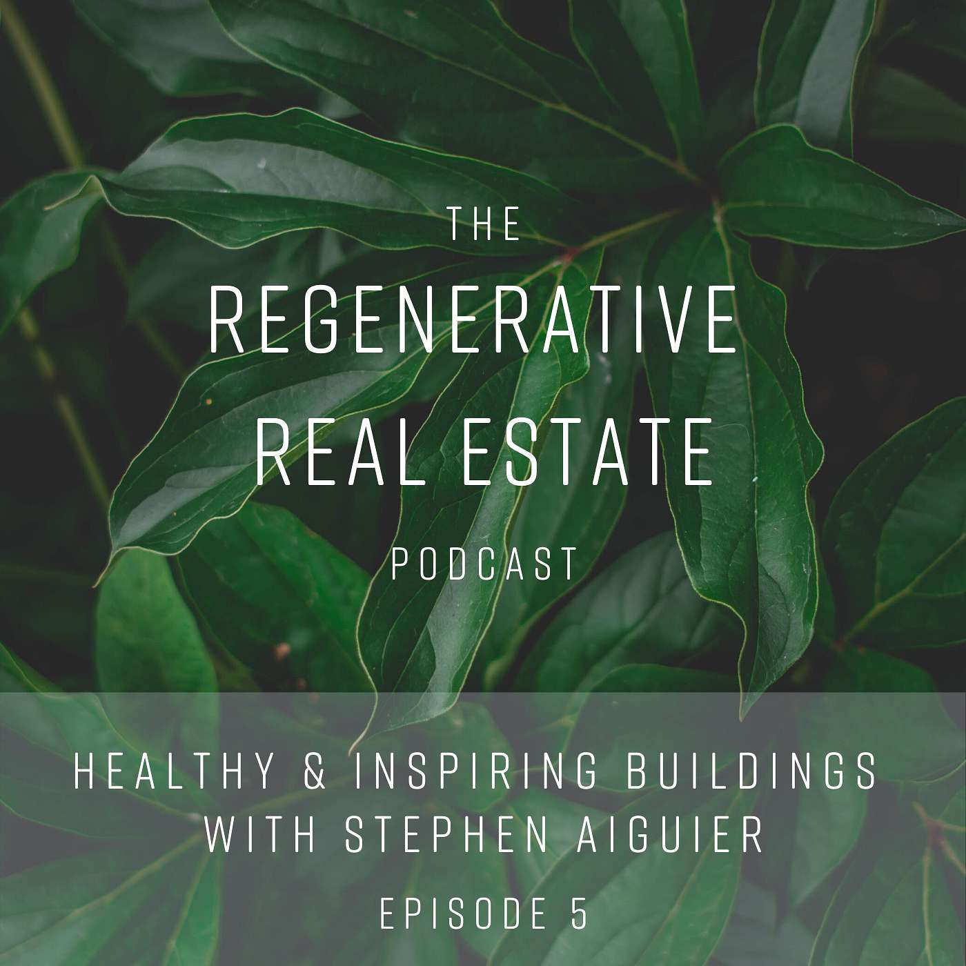 Healthy and inspiring buildings with Stephen Aiguier from Green Hammer - podcast episode cover