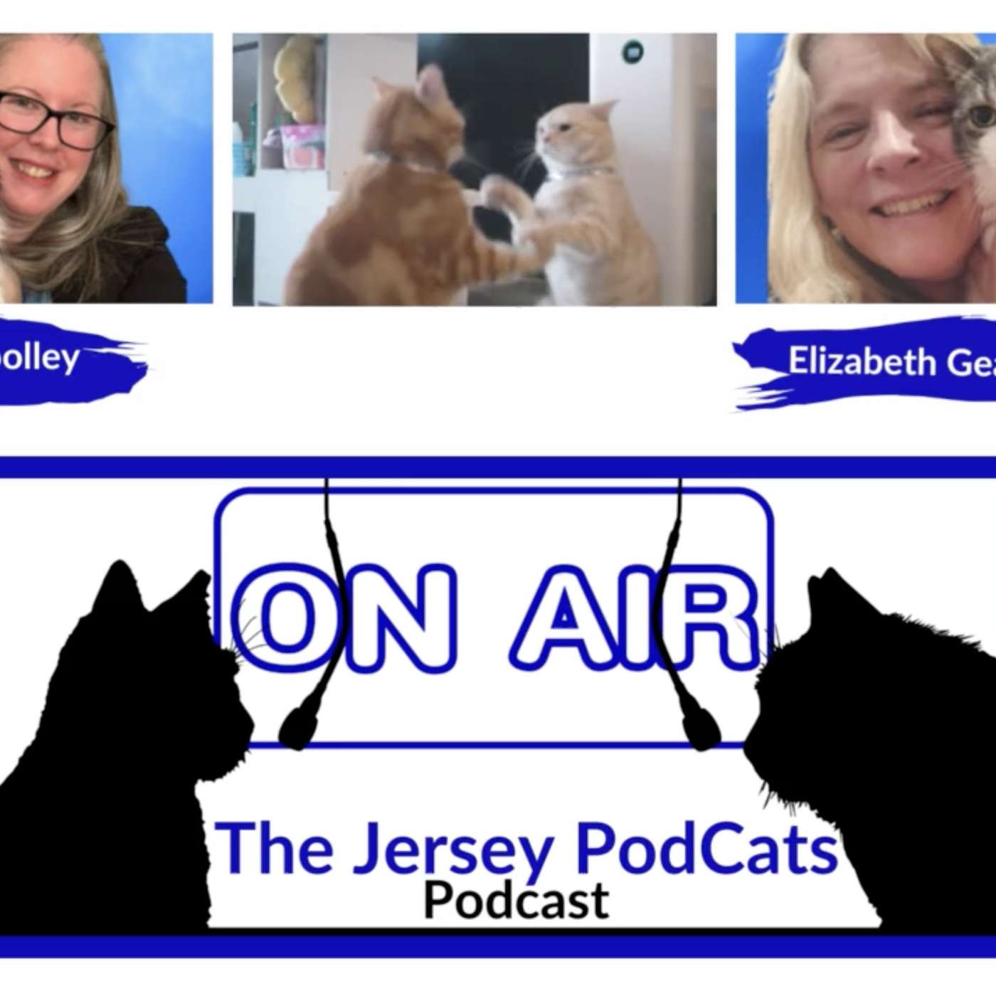 The Jersey PodCats