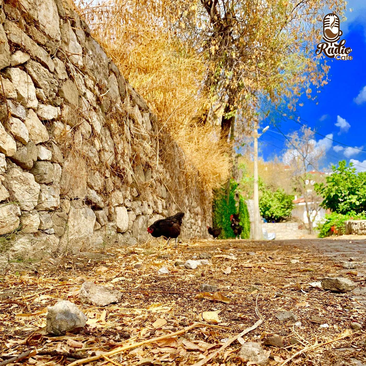 تراژدی ای که ایران را تکان داد