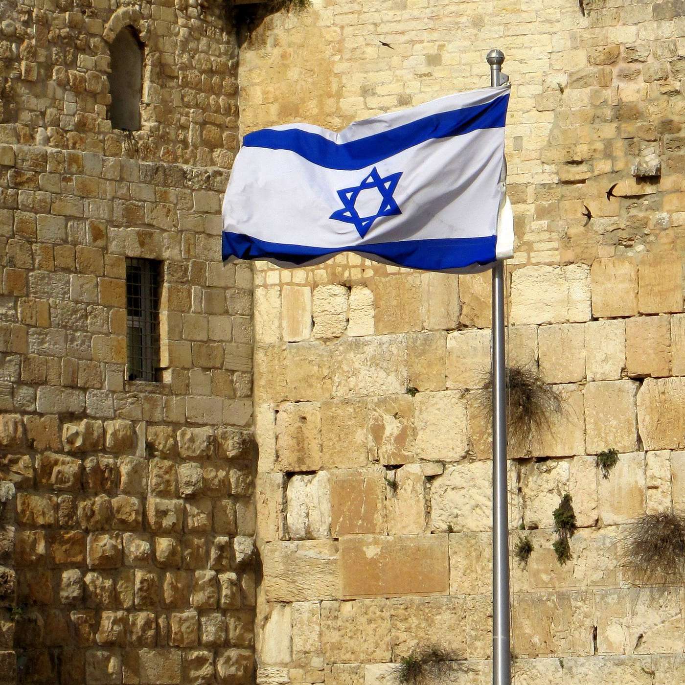 Israel Mosaic: Land People Story