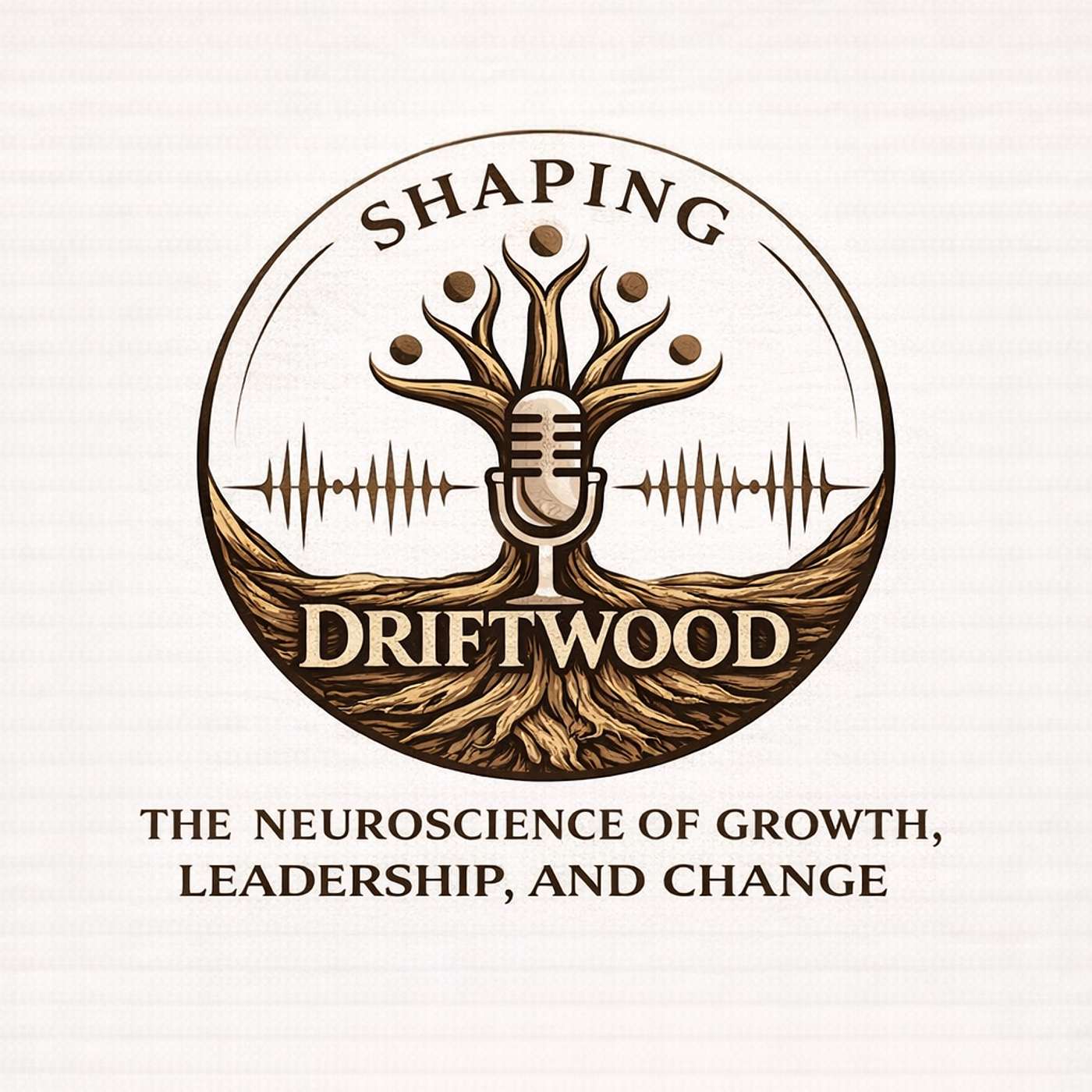 Shaping Driftwood: Neuroscience-Based Leadership, Growth & Change