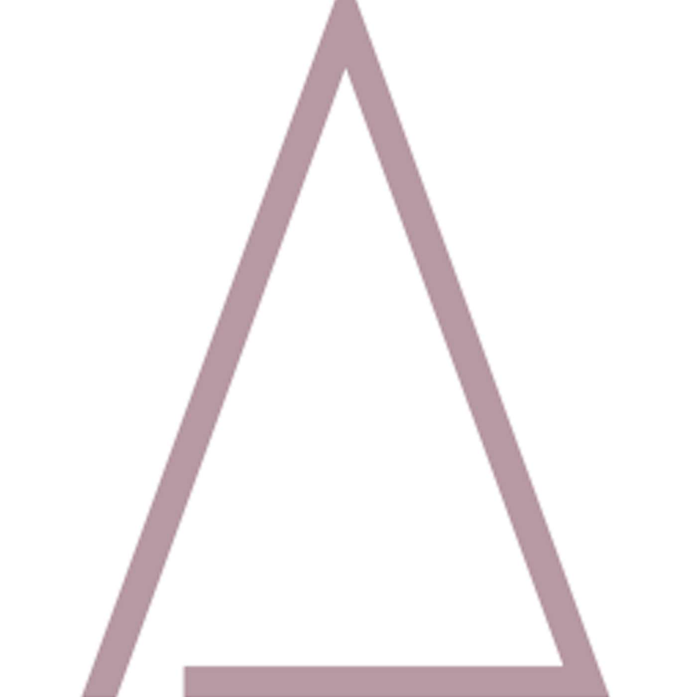 AccouNetrics' Podcast