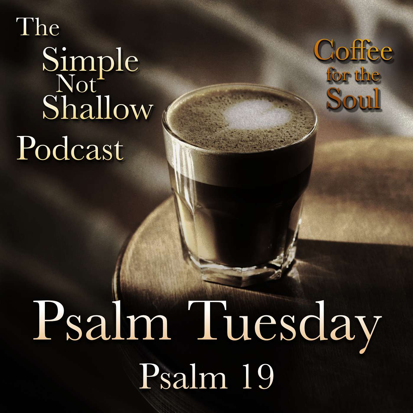 The Simple Not Shallow Podcast