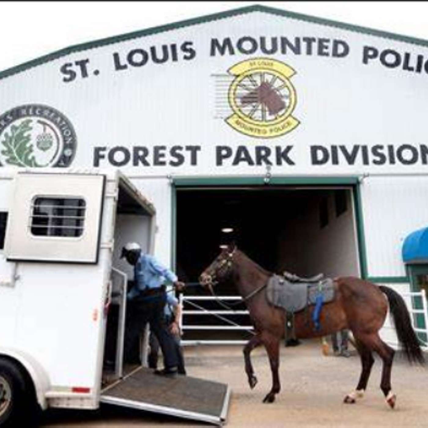 ST. LOUIS MOUNTED PATROL - WHAT THEY DO - THE DRILLS ON HORSES episode artwork