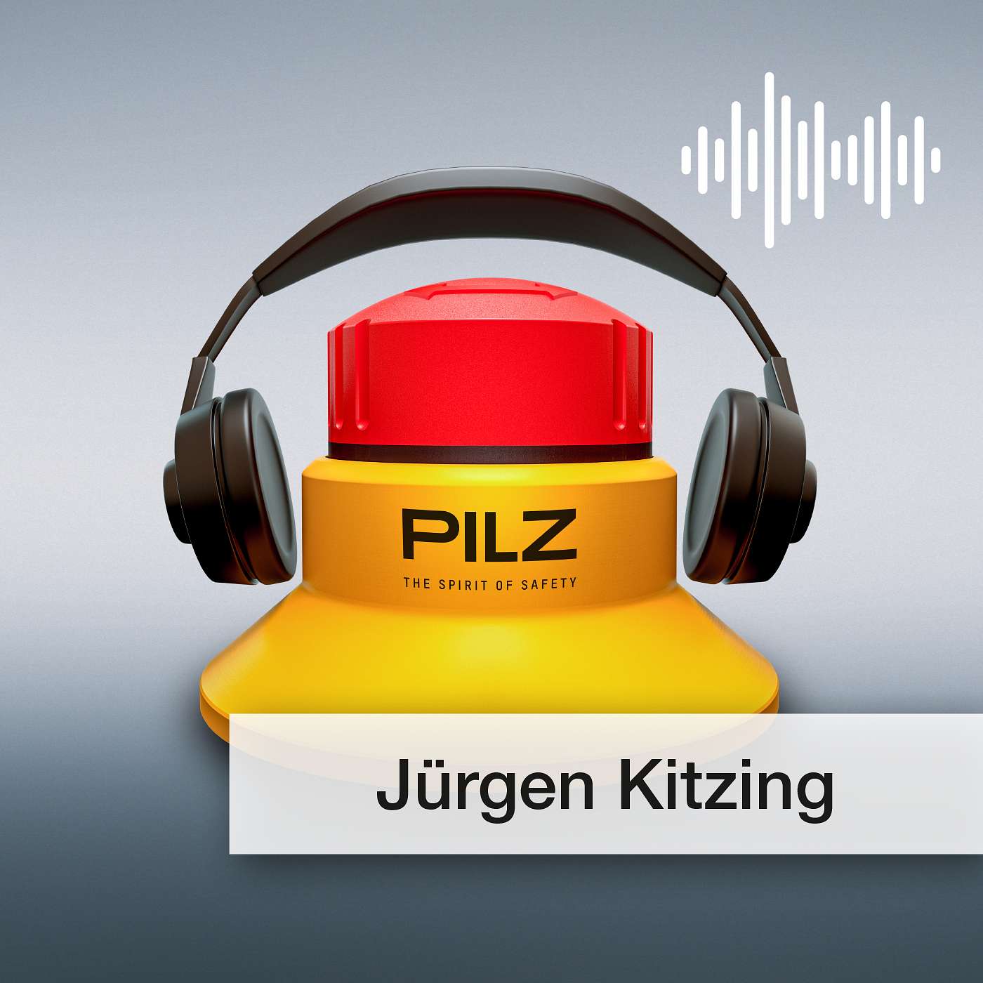 Pilz GmbH & Co. KG