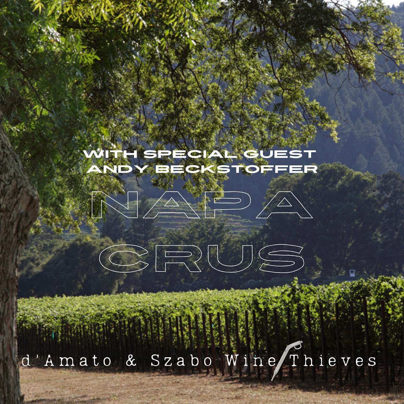 The Crus of Napa Valley Part I: In Conversation with Andy Beckstoffer