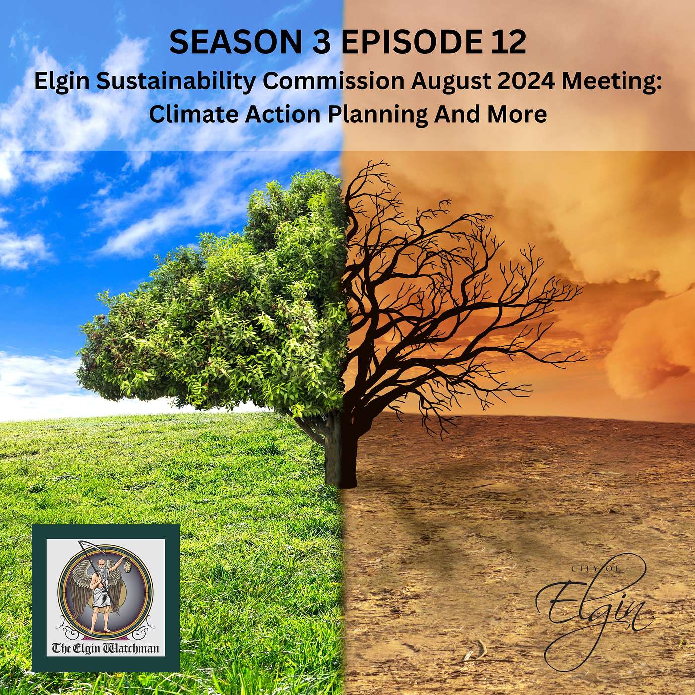 Elgin Sustainability Commission August 2024 Meeting: Climate Action Planning And More Elgin Sustainability Commission August 2024 Meeting: Climate Action Planning And More