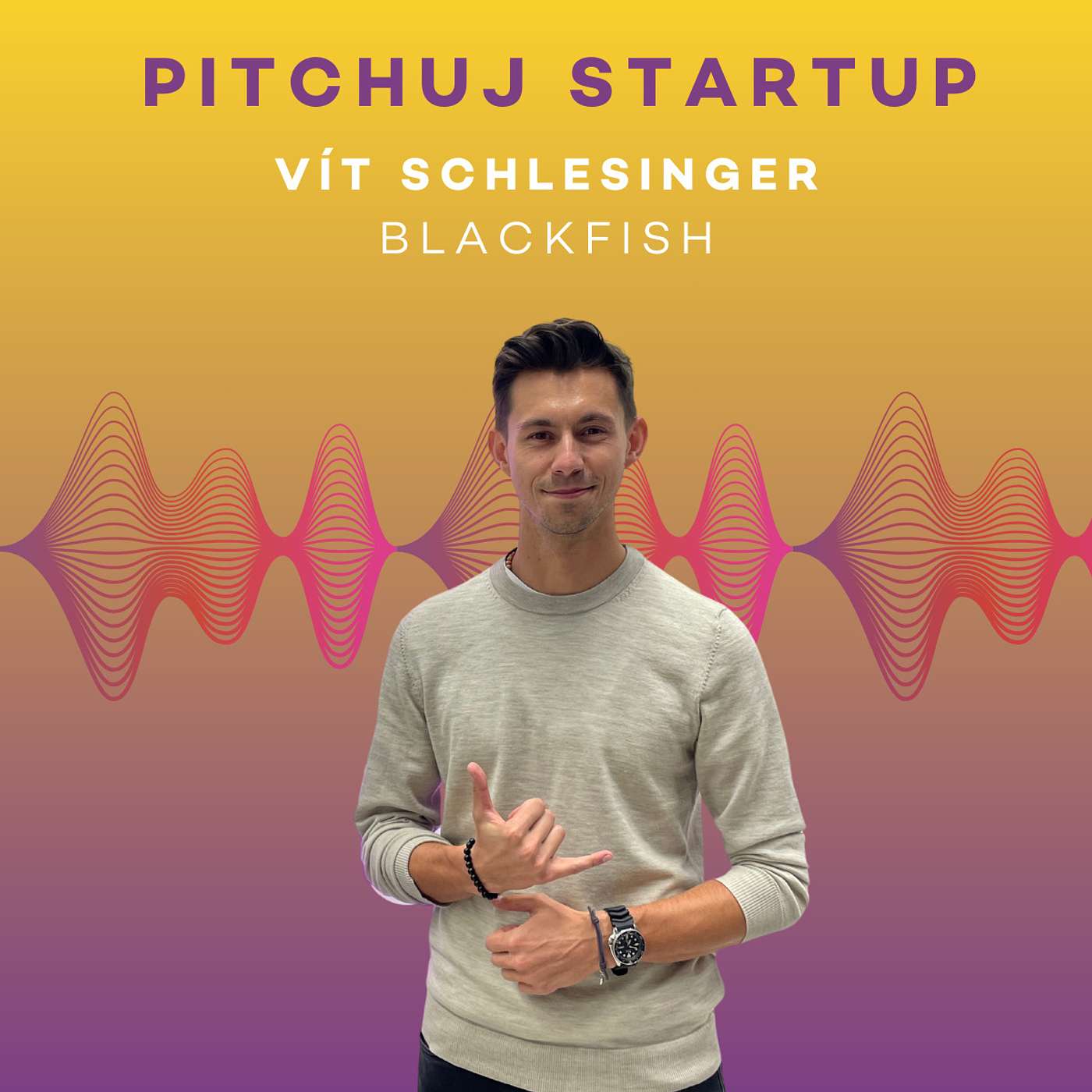 Pitchuj Startup: Vít Schlesinger o Blackfish, startupech a Dánsku episode artwork