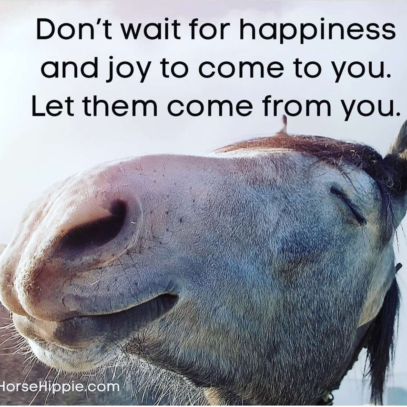 Let Joy Come From You episode artwork