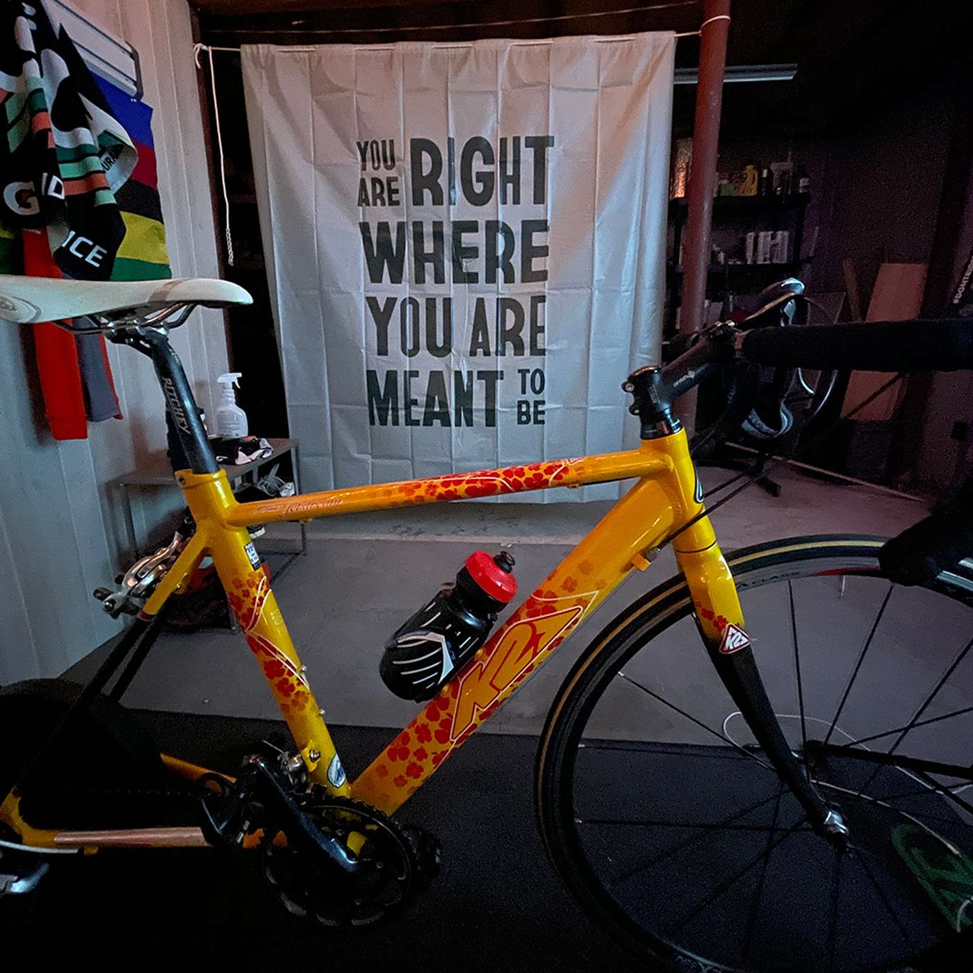 So You Want to Try Zwift