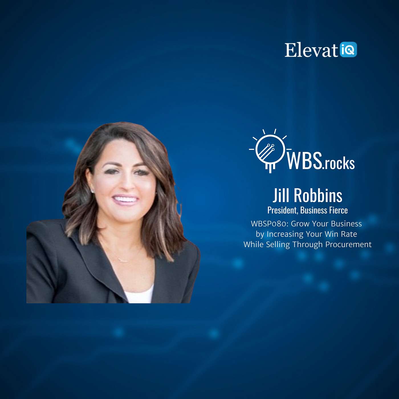 WBSP080: Grow Your Business by Increasing Your Win Rate While Selling Through Procurement w/ Jill Robbins