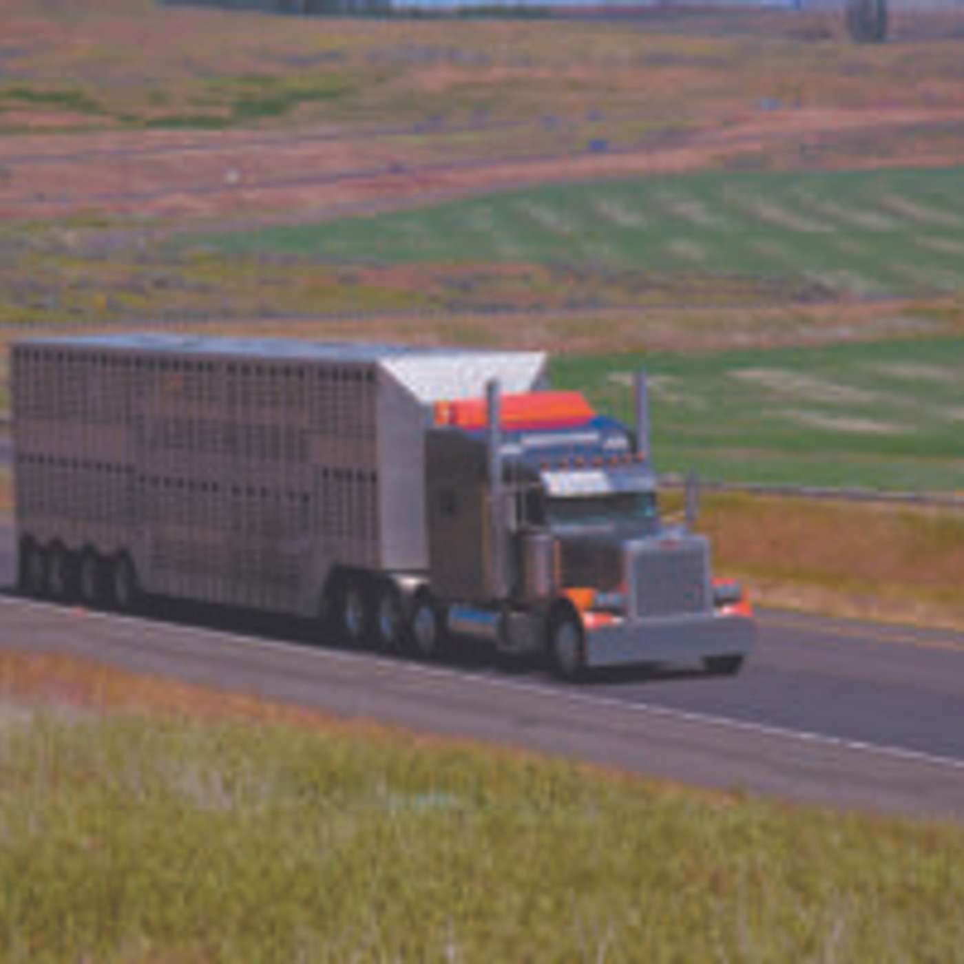 The Trucks are Hauling