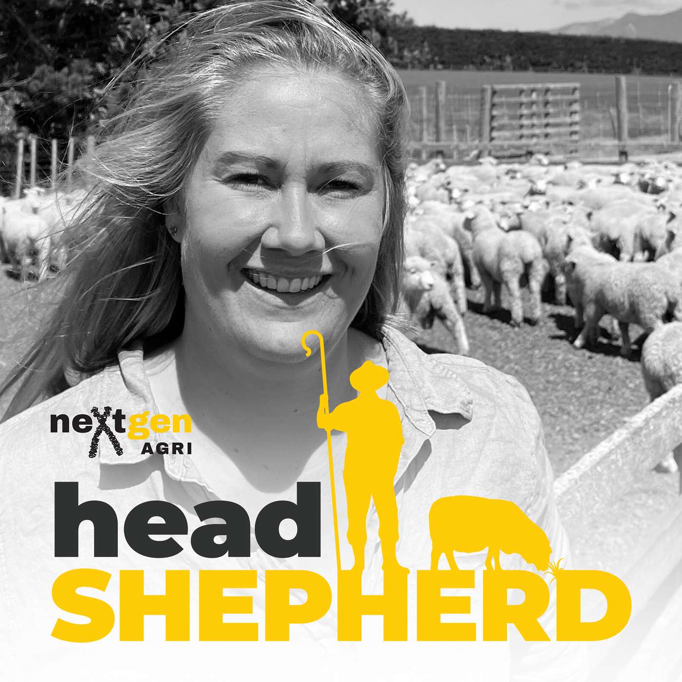 Breeding Better Sheep in the North Island with Dr Emma Pettigrew