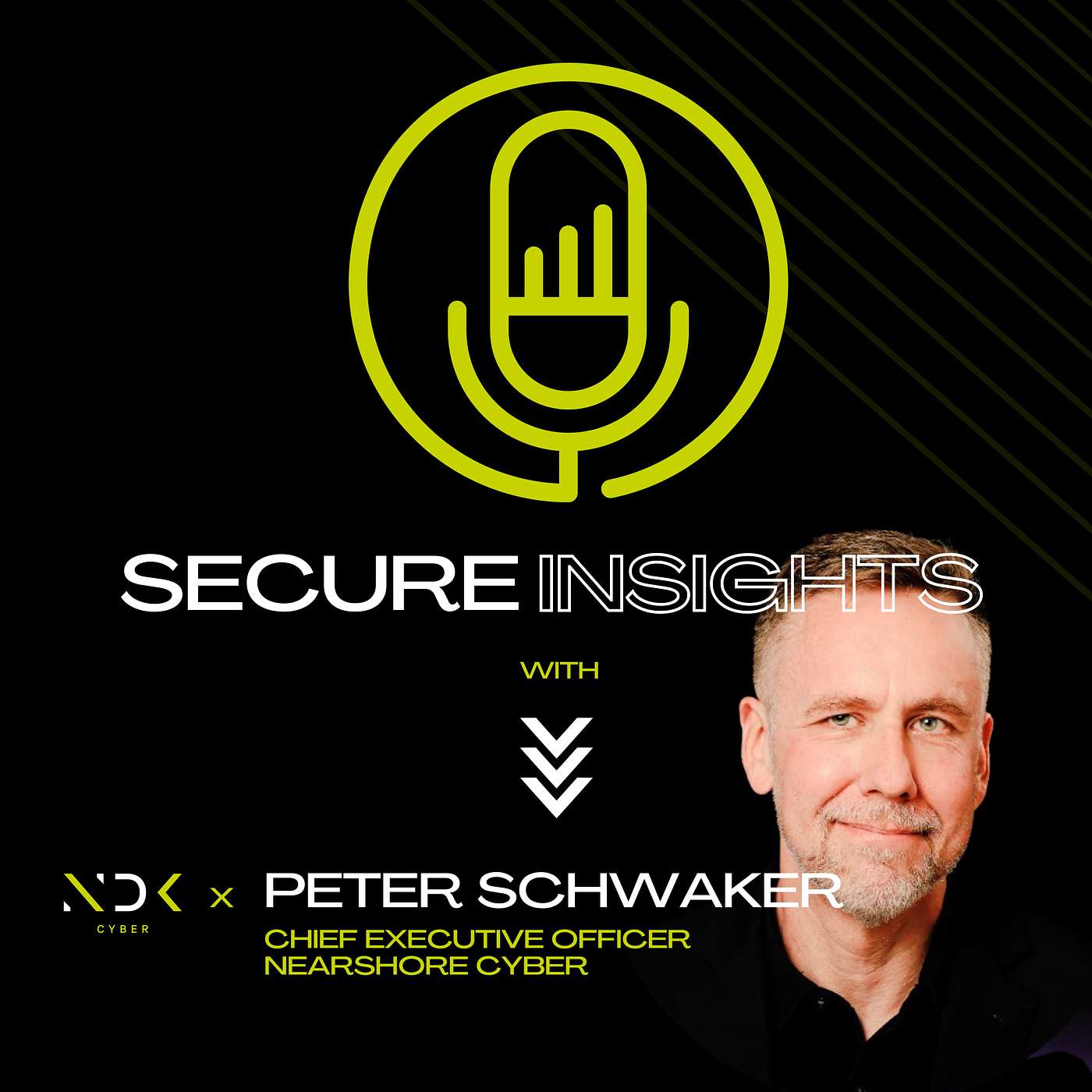 Secure Insights with NDK Cyber