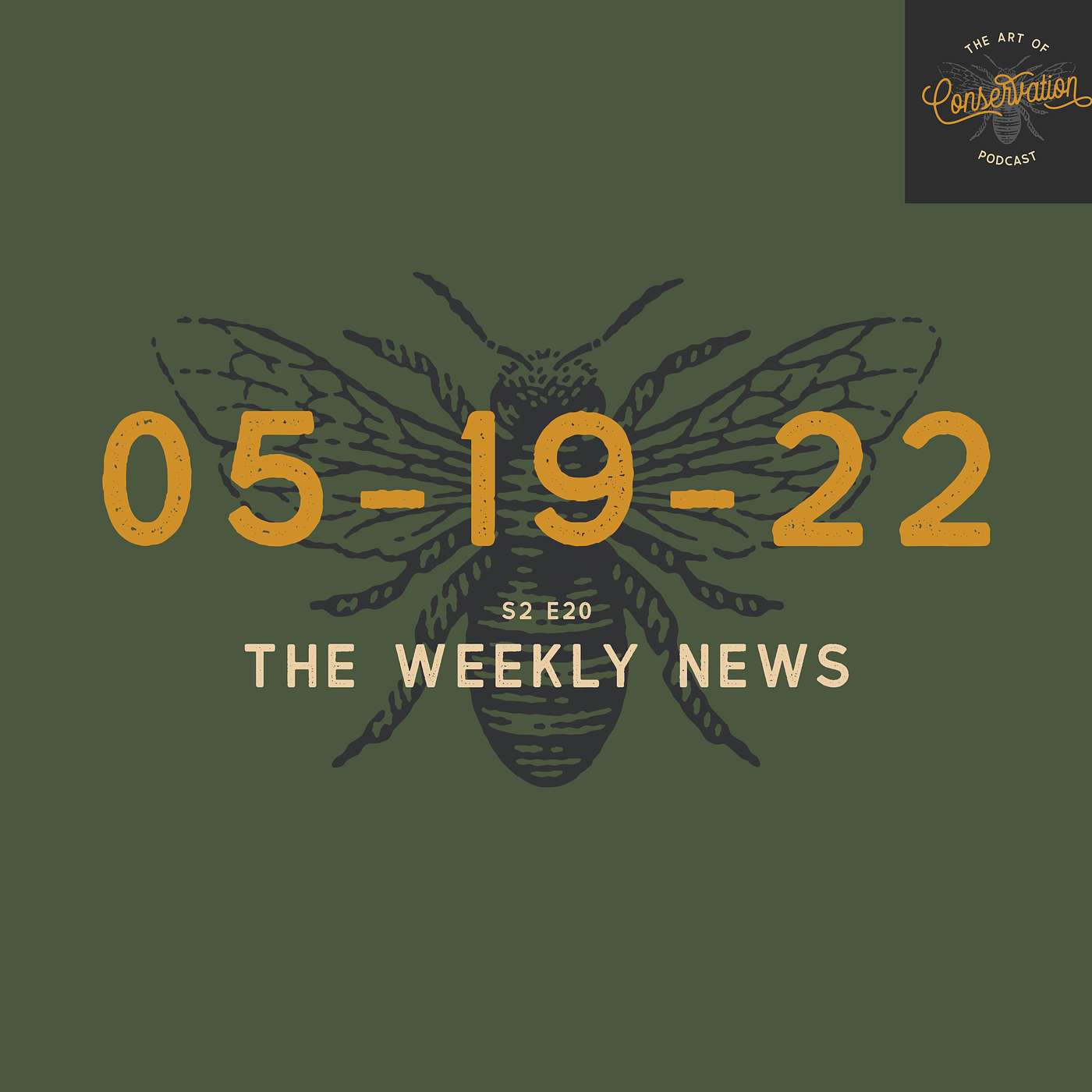 S2 E20 - The Weekly News 05-19-2022 with Shannon Elizabeth, Peter Borchert & Simon Borchert