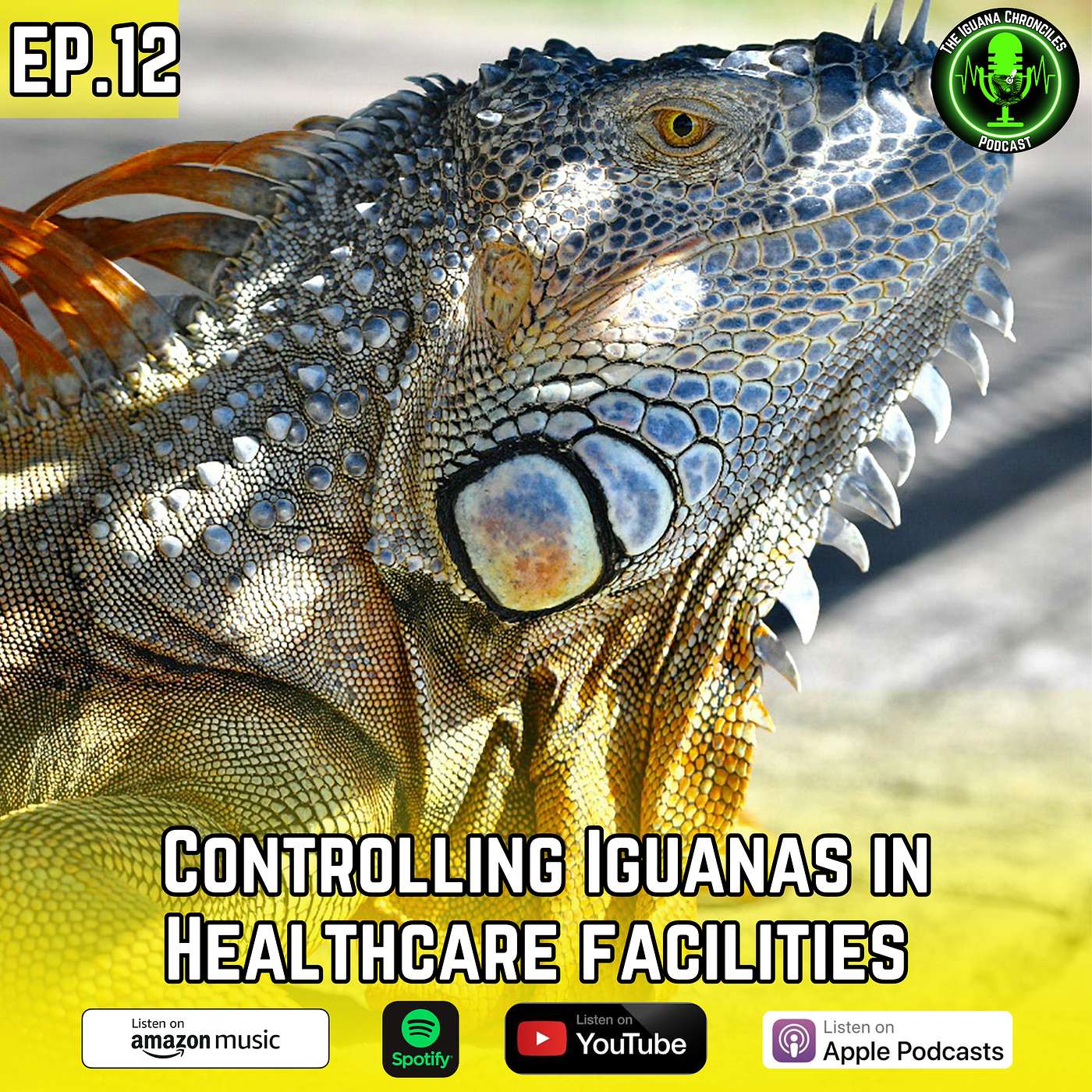 The Iguana Chronicles Podcast