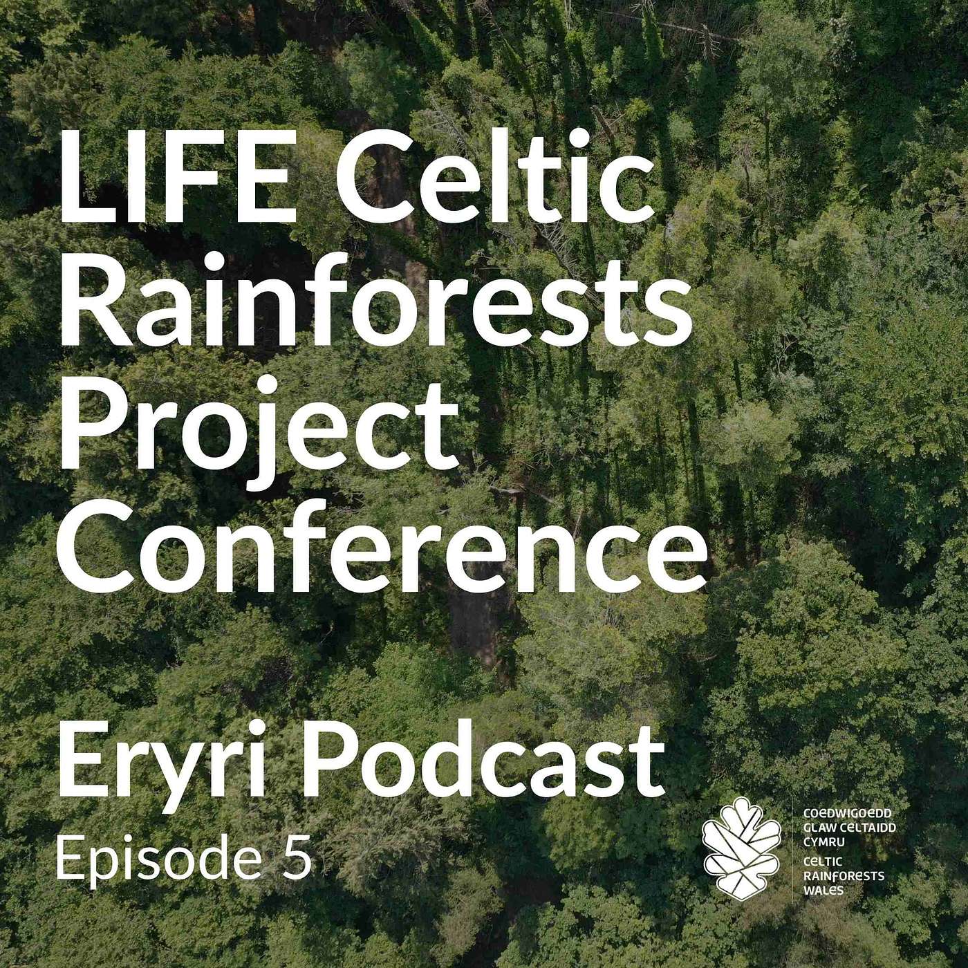LIFE Celtic Rainforests Project Conference: Restoring Wales’ Celtic Rainforests