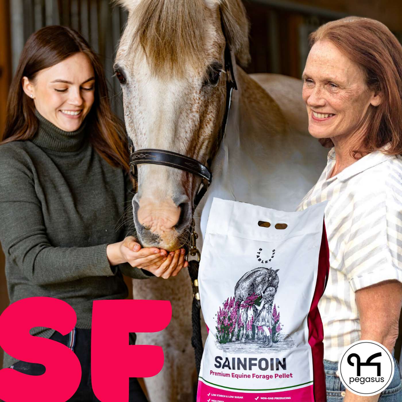 Revolutionizing Equine Health: A Deep Dive into Nutrition and the Equestrian Industry