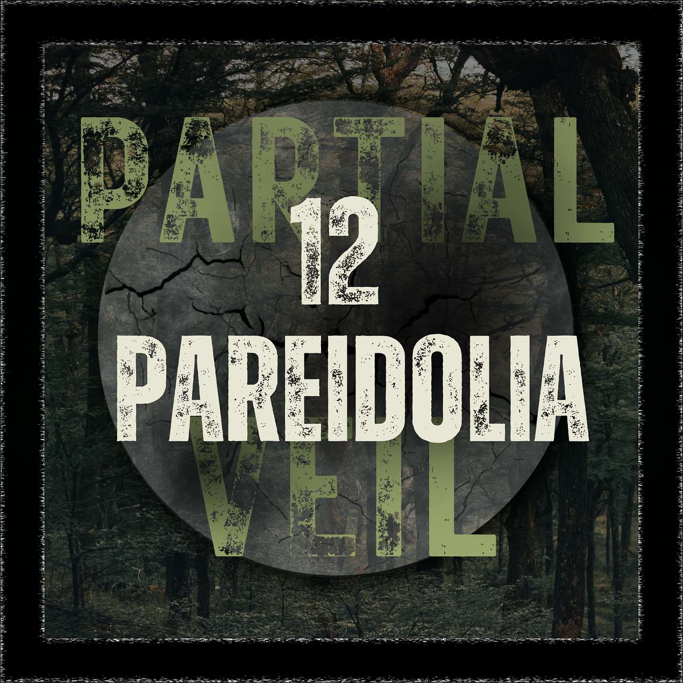 Episode 12: Pareidolia