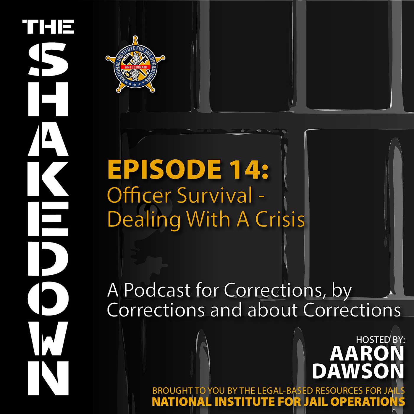 The Shakedown by National Institute for Jail Operations (NIJO)