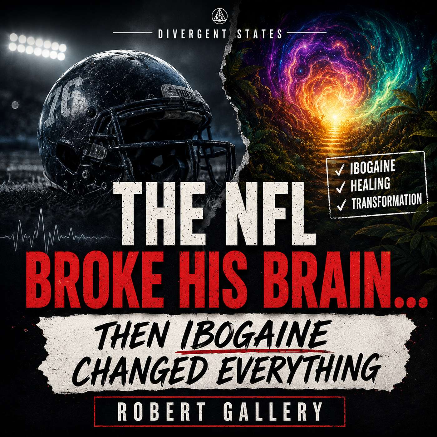 The NFL Broke His Brain… Then Ibogaine Changed Everything | Robert Gallery