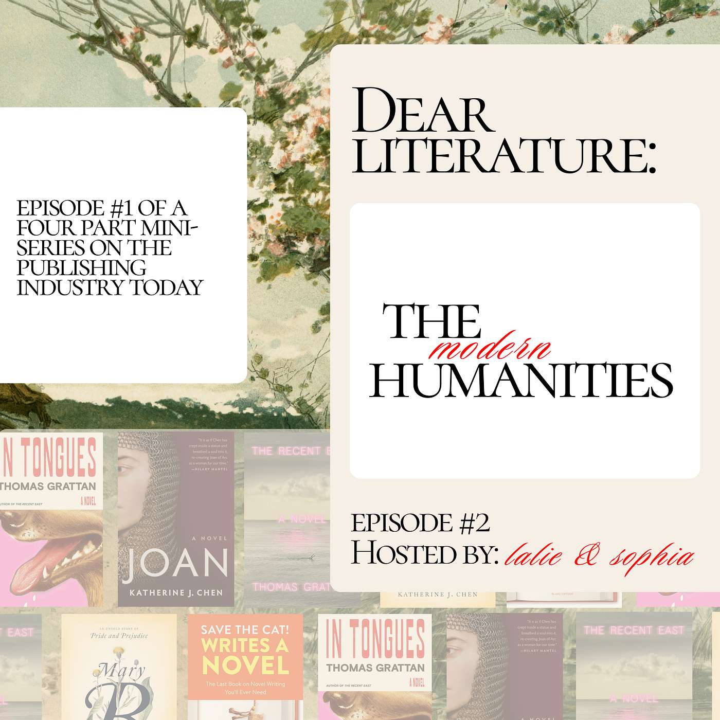 Dear Literature: The Modern Humanities