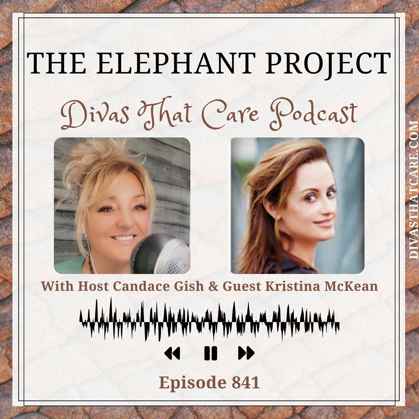 The Elephant Project episode artwork