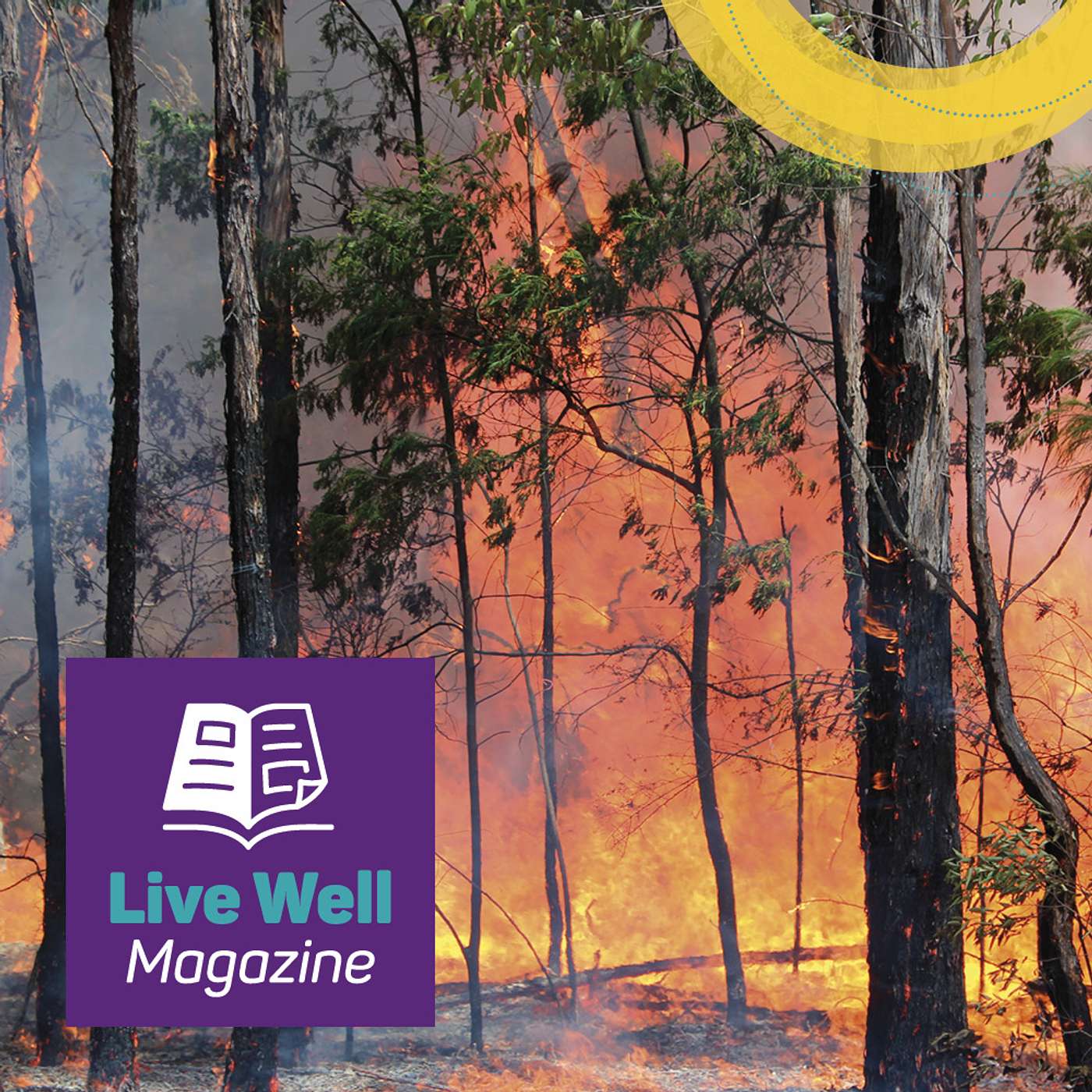 Live Well Podcast | Health and Wellbeing Journeys in Regional, Rural & Remote areas