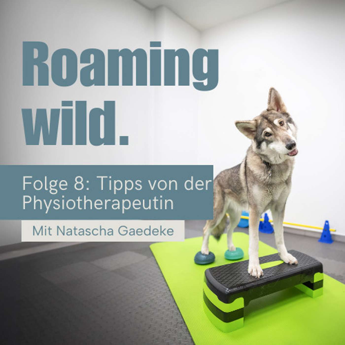 Roaming Wild - Outdoorerlebnisse und Fotografie mit Hund