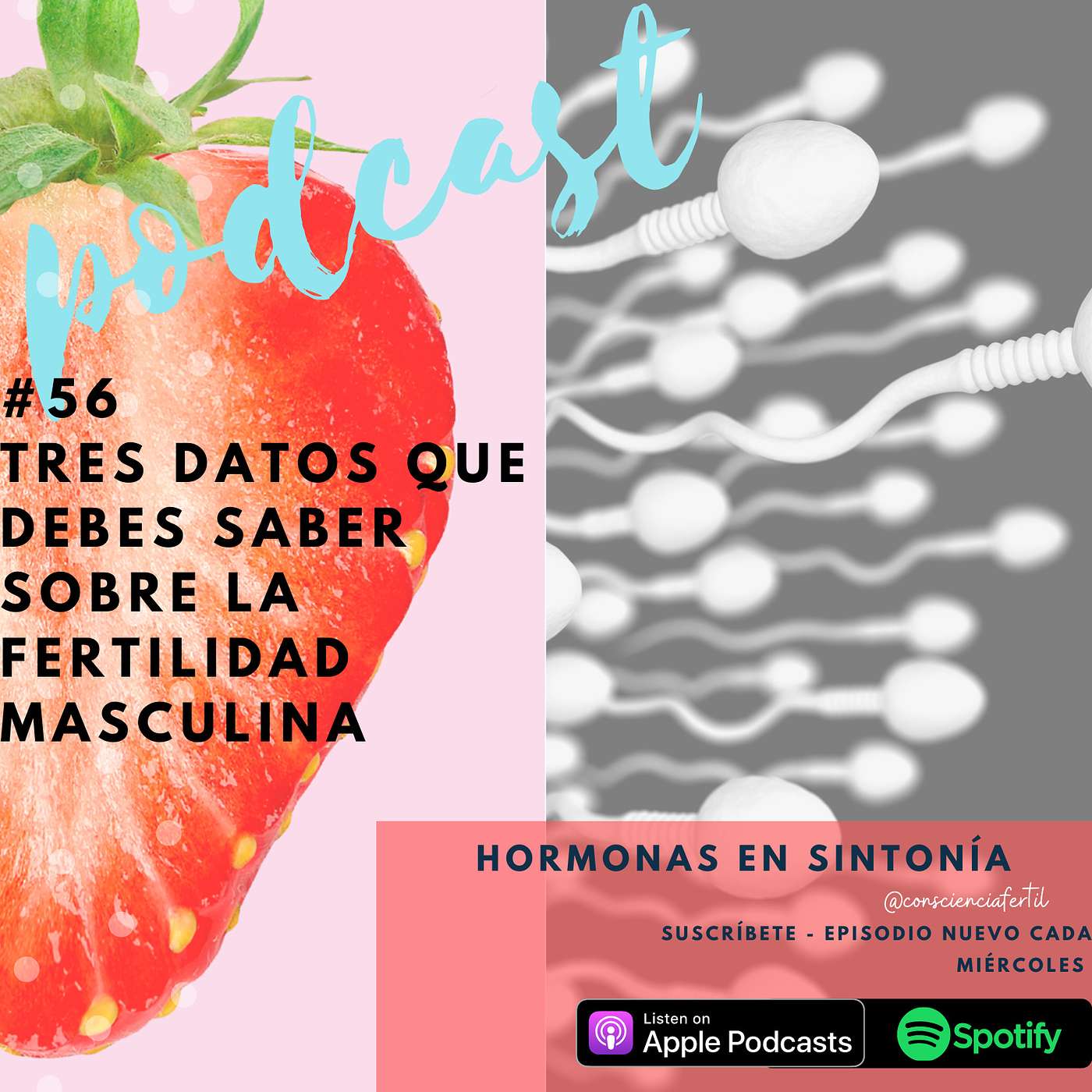 E 56: Los tres datos que debes saber sobre la fertilidad masculina