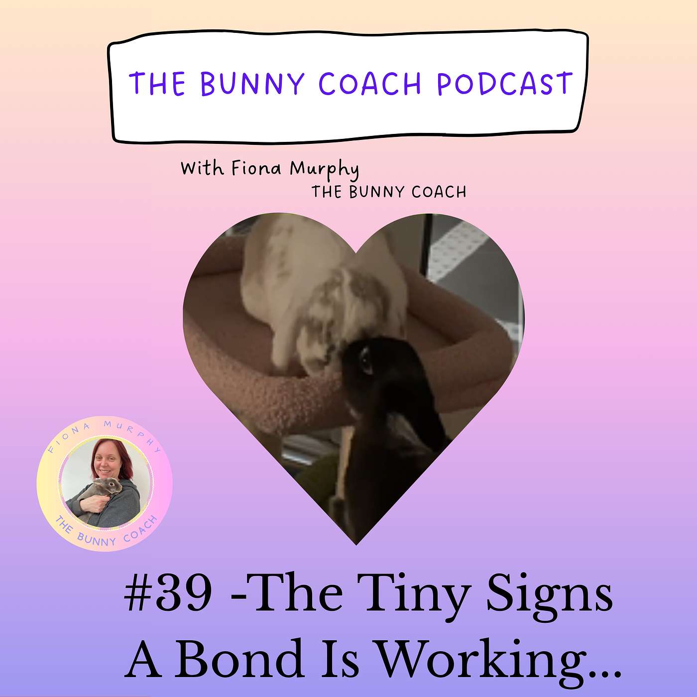 #39 - The Tiny Moments That Tell Me A Bond Is Working.... episode artwork